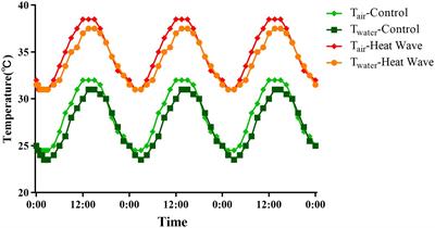 Heat wave induces oxidative damage in the Chinese pond turtle (Mauremys reevesii) from low latitudes